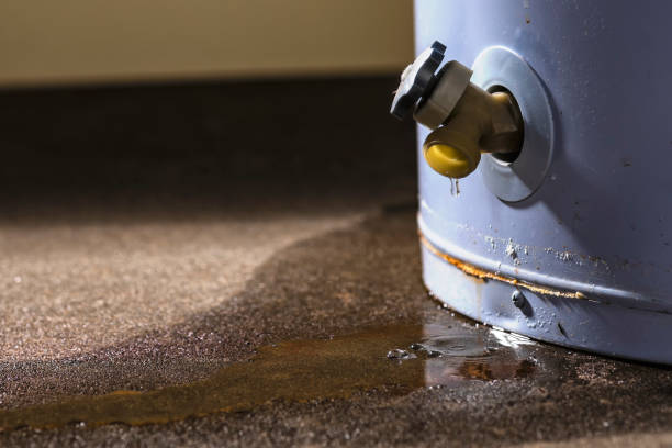 Best 24/7 water damage repair  in Richton, MS