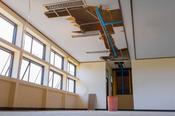 Best Flooded house restoration  in Richton, MS