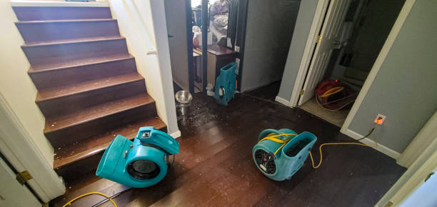 Best Water damage cleanup near me  in Richton, MS