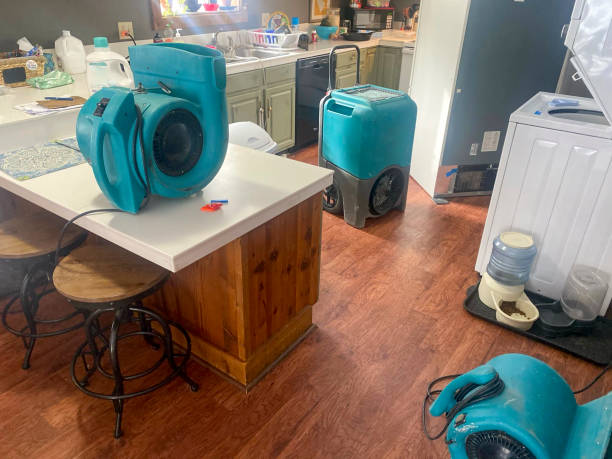 Best Emergency water damage restoration  in Richton, MS