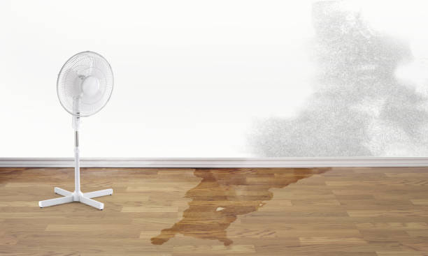 Water damage restoration process in MS