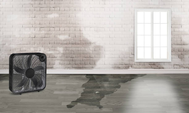 Water damage restoration experts in MS