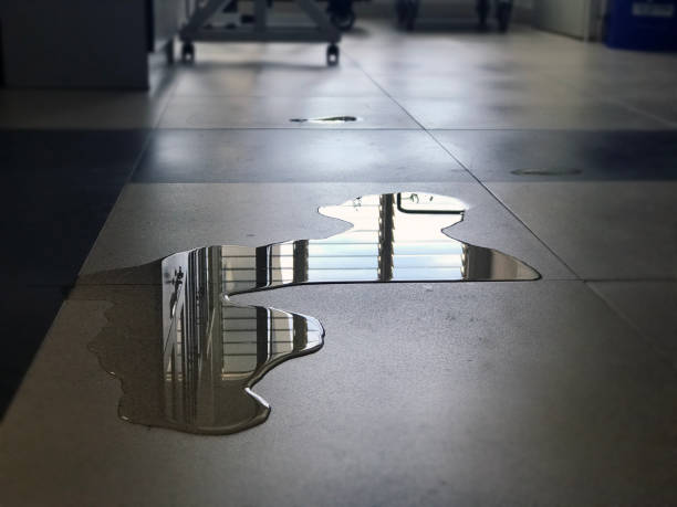 Best Professional water damage repair  in Richton, MS
