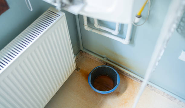 Best Basement water damage restoration  in Richton, MS