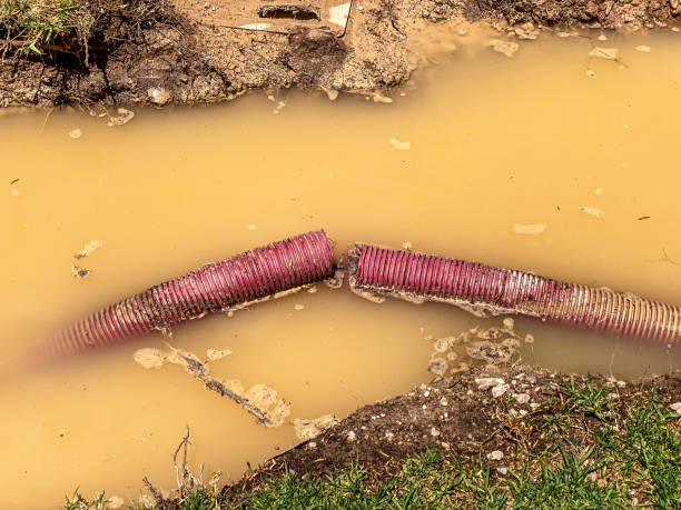 Best Water damage contractors near me  in Richton, MS